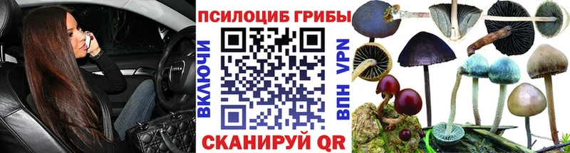 наркотики  Красноармейск  Псилоцибиновые грибы GOLDEN TEACHER 