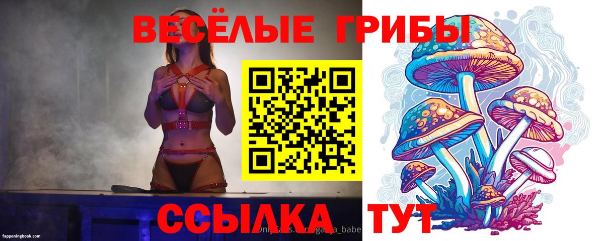 Галлюциногенные грибы ЛСД Красноармейск