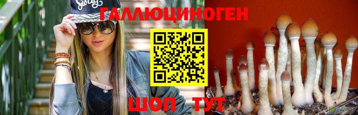 Красноармейск  купить закладку  Вход с VPN  Псилоцибиновые грибы мухоморы 